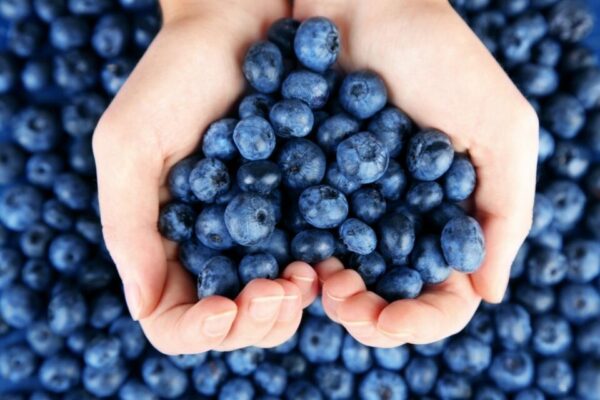 Пять продуктов для тех, кому нужно срочно поднять настроение